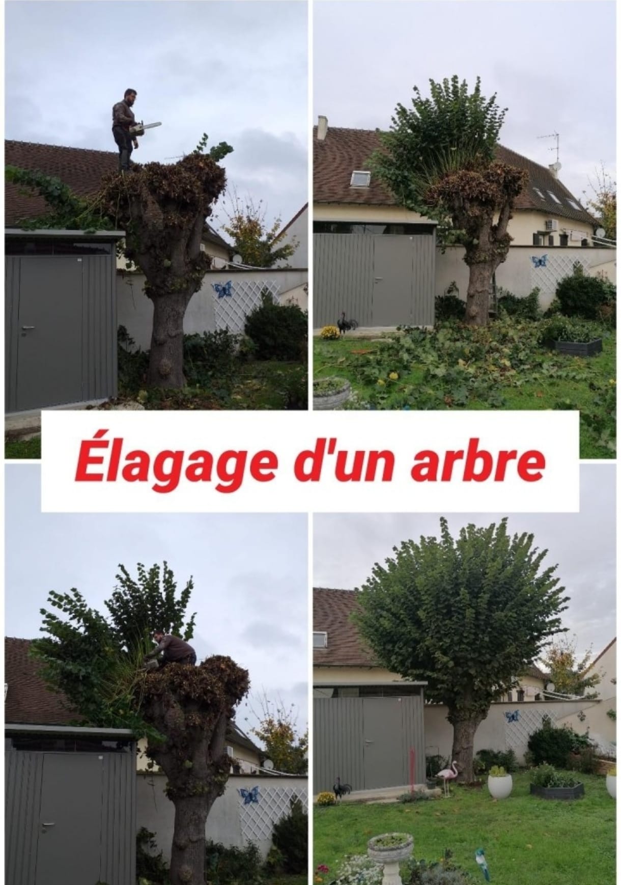 WhatsApp Image 2025-03-22 à 21.39.32_0cccfb79