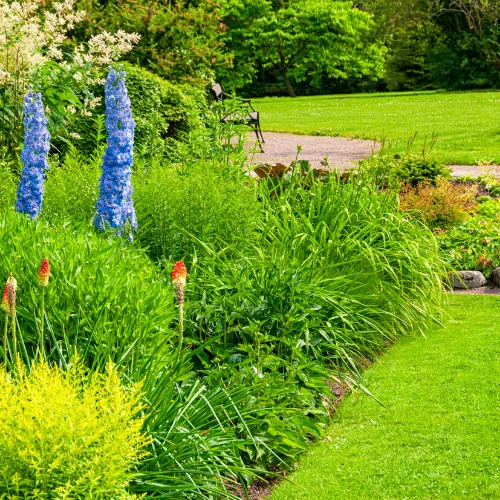 entretien-parc-jardin